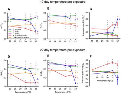 Thermal and Herbicide Tolerances of Chromerid Algae and Their Ability to Form a Symbiosis With Corals